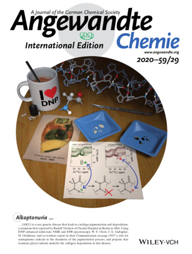 Angewandte Chemie cover showing a scalpel, pieces of cartilage in blue trays, on top of a diagram of a pigmented knee joint and some NMR spectra.